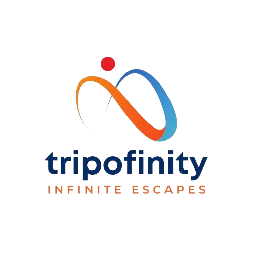 Tripofinity